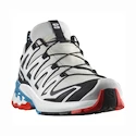 Damen Laufschuhe Salomon XA Pro 3D V9 GTX W LunarRock/White/Black