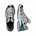 Damen Laufschuhe Salomon XA Pro 3D V9 GTX W LunarRock/White/Black