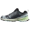 Damen Laufschuhe Salomon Xa Pro 3D V9 Turbulence/Iced Aqua/Patina Green