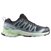 Damen Laufschuhe Salomon Xa Pro 3D V9 Turbulence/Iced Aqua/Patina Green