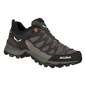 Damen-Outdoorschuhe Salewa  WS MTN Trainer Lite GTX Wallnut/Fluo Coral