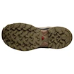Damen-Outdoorschuhe Salomon X Ultra 360 Gore-Tex Safari/Hazelnut/Sierra