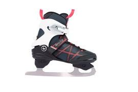 Damen Schlittschuhe K2 Alexis Ice FB Gray/Pink