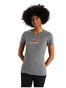 Damen T-Shirt Icebreaker  W Tech Lite II SS Tee Mou Gritstone