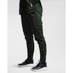 Damen Trainingsanzug Under Armour Recover Fleece Pants grün