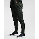 Damen Trainingsanzug Under Armour Recover Fleece Pants grün