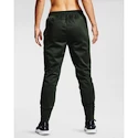 Damen Trainingsanzug Under Armour Recover Fleece Pants grün