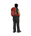 Damenrucksack OSPREY Tempest  22 deep fig/hotspot pink