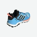 Damenschuhe adidas  Terrex Skychaser 2 GTX W Blue