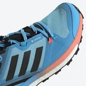 Damenschuhe adidas  Terrex Skychaser 2 GTX W Blue