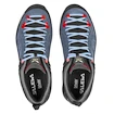 Damenschuhe Salewa  MTN TRAINER 2 GTX