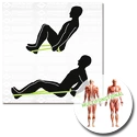 Ein Verband Schildkröt  Exercise Band
