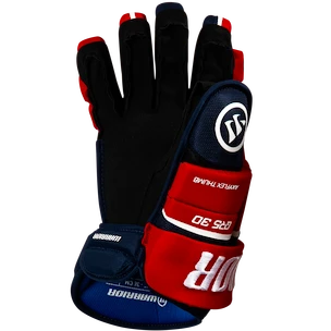 Eishockeyhandschuhe Warrior Covert QR5 30 Black Senior