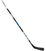 Eishockeyschläger Bauer Nexus N6000 Grip 2017