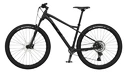 Fahrrad GT  Avalanche 29 Expert