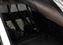Fahrradanhänger Thule Chariot Lite 2