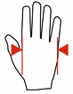 Fitness-Handschuhe MadMax  MFG831