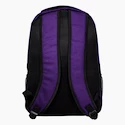Forever Collectibles Action Backpack NFL Minnesota Vikings