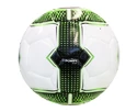 Fußball Puma