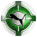 Fußball Puma evoPOWER 6.3 Trainer