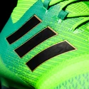 Fußballschuhe adidas Ace 17.1 Primeknit FG Green