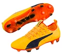 Fußballschuhe Puma evoPOWER Vigor 1 FG