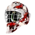 Goalie Maske Bauer NME 4 Wall SR