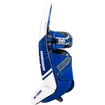 Goalie Schienen Warrior Ritual G6 E+ black Senior