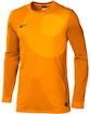 Goalie Trikot Nike Park IV