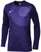 Goalie Trikot Nike Park IV