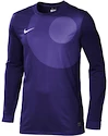 Goalie Trikot Nike Park IV