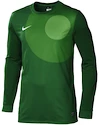 Goalie Trikot Nike Park IV