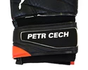 Goalkeeper gloves Puma evoPOWER Grip 1.3 RC with the original signature of Petr Cech