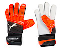 Goalkeeper gloves Puma evoPOWER Grip 2.3 AQUA with the original signature of Petr Cech