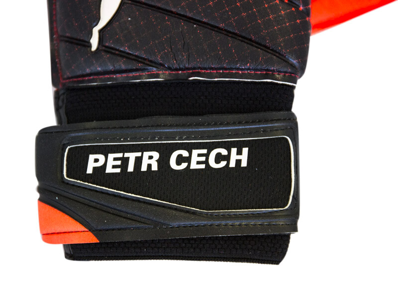 Goalkeeper gloves Puma evoPOWER Grip 2.3 AQUA with the original signature of Petr Cech