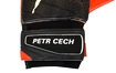 Goalkeeper gloves Puma evoPOWER Grip 2.3 GC with the original signature of Petr Cech