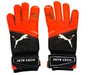 Goalkeeper gloves Puma evoPower Grip 2.3 RC with the original signature of Petr Cech