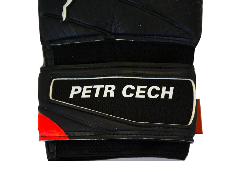 Goalkeeper gloves Puma evoPower Grip 2.3 RC with the original signature of Petr Cech