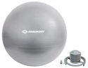 Gymnastik Ball Schildkröt  Gymnastický míč 65 cm šedý