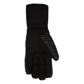 Handschuhe Salewa ORTLES 2 PRL GLOVES