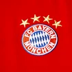 Heimtrikot FC Bayern München 15/16