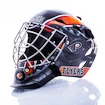 Helm Franklin Mini Goalie Mask