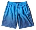 Herren Badeshorts adidas 3S Fading Short Blue
