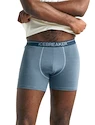 Herren Boxer Shorts Icebreaker  Anatomica Boxers