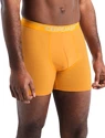Herren Boxer Shorts Icebreaker  Anatomica Boxers Electric/Praline