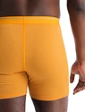 Herren Boxer Shorts Icebreaker  Anatomica Boxers Electric/Praline