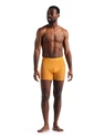 Herren Boxer Shorts Icebreaker  Anatomica Boxers Electric/Praline