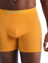 Herren Boxer Shorts Icebreaker  Anatomica Boxers Electric/Praline