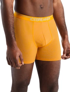 Herren Boxer Shorts Icebreaker  Anatomica Boxers Electric/Praline
