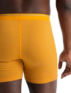 Herren Boxer Shorts Icebreaker  Anatomica Boxers Electric/Praline